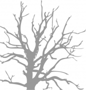 Baum 3