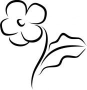 Blume 6