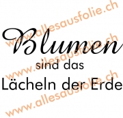 Blumen sind das Lächeln der Erde