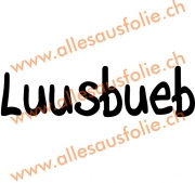 Luusbueb