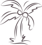 Palme