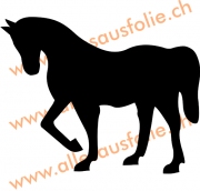 Pferd