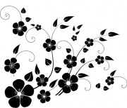 Blume 5