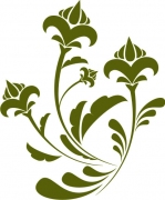 Pflanze 9
