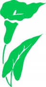 Pflanze 10
