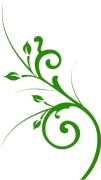 Pflanze 1