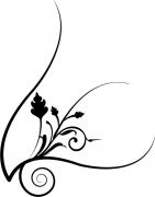 Pflanze 3