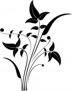Pflanze 8