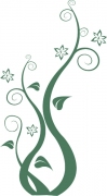 Pflanze 6
