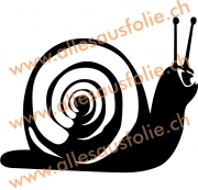 Schnecke