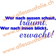 Wer nach aussen schaut, Wer nach innen blickt, träumt. erwacht!